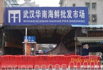 浙江第一批疫苗已产生抗体!颠覆性发现