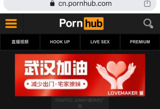 隔离游轮将提供免费小黄片 Pornhub: 武汉加油
