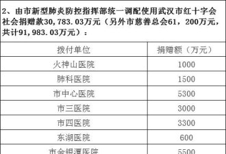 武汉红十字会收赠款9.2亿余元，已使用4.7亿余