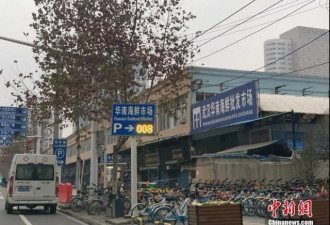 封城15天 在华南海鲜市场周边生活是什么体验？