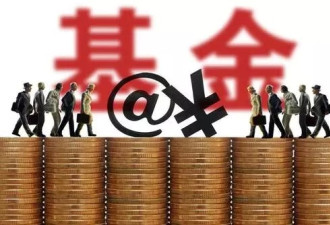 大牌扎堆，年内最火爆基金发行周，买哪个？