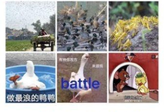 “十万鸭军替国出征”的四次惊天大逆转