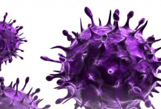 美国研究团队：新冠病毒可追溯至2009年