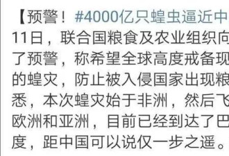 蝗灾逼近中国 靠吃解决不了问题！需要早做打算
