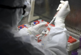 中国专家承认 新冠肺炎可长期存在