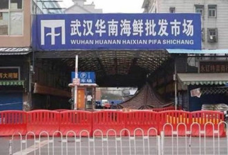 病毒11月下旬就人传人 华南市场非源头
