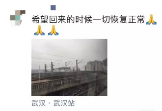 留学生亲述：这两个月，我们究竟经历了什么