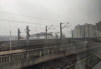 留学生亲述：这两个月，我们究竟经历了什么