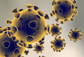 美国一医院误将新冠病毒阳性病例释放