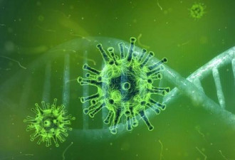 巴西发现神秘病毒，科学家：90%基因前所未见
