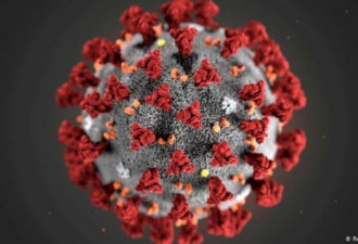 新冠传播更像流感 初期病毒量超SARS