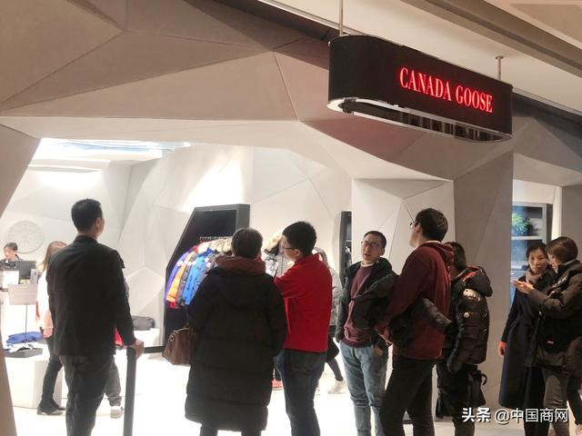 进入�国一年多时间,加拿大鹅发展得如何