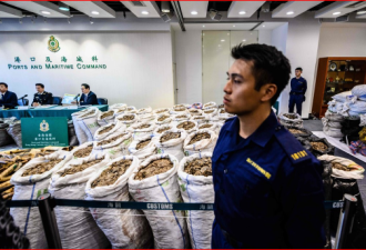 专家呼吁中国全面禁止野生动物交易