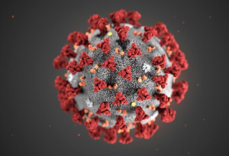 美国专家驳斥新冠肺炎病毒实验室人造说法