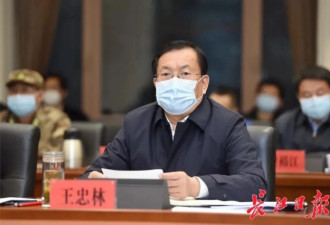 武汉市委书记王忠林:现在不允许慢吞吞