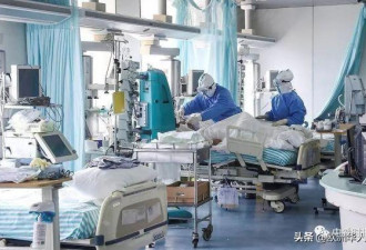 华人小女孩因感冒发烧引起同学家长们的恐慌
