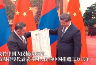 蒙古国总统向中国赠送30000只羊