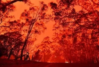 澳洲大火210天后，我们看到了奇迹！