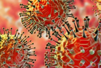 美国疾控中心CDC官方:新冠病毒常见问答