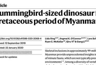 亿年琥珀中发现最小恐龙!蜂鸟大小却有牙齿百颗