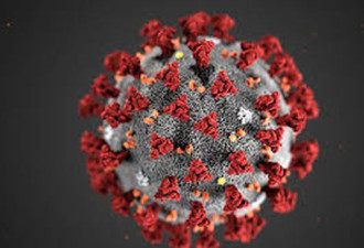美国报告第2例冠状病毒死亡 纽约确诊第一例
