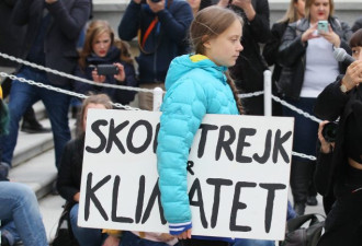 瑞典环保少女被色情化：阿省公司道歉