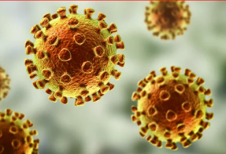 荷兰科学家首发现新冠病毒抗体 药物快过疫苗