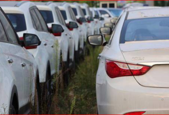 中国乘用车零售量现20年来最大降幅