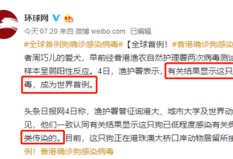 全球首例狗狗确诊感染，最可怕的事情来了