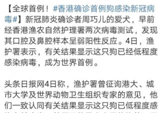 香港确证首例狗感染新冠病毒？真相在这