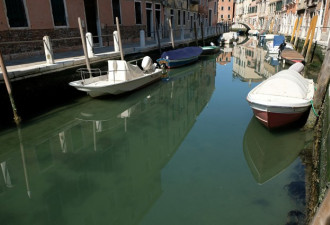 意大利因疫情封国，威尼斯运河一夜变了
