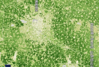 卫星发现一个信号：中国耕地正在绿起来