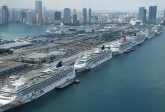 “邮轮粉”们坚持旅行：我相信我们不会有事！