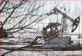 中国炼油企业拒绝从俄罗斯石油公司购油