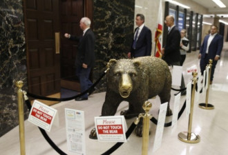 新冠疫情蔓延 加州这只“熊”也遭隔离