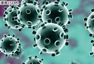 冰岛发现一人同时感染两种新冠病毒变体
