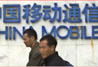 中国手机用户暴减1400多万 人去哪了