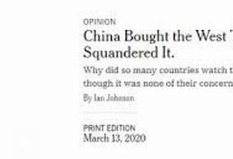 纽约时报：中国争取的时间 被西方白白浪费
