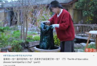 李子柒复工、YouTube上中国网红的残酷搏杀