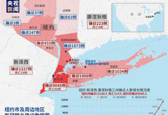 重大灾区纽约州新增4800确诊病例 累计死亡114