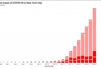 纽约市长警告:将有超400万人感染,占人口一半