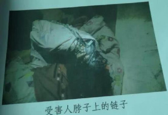 湖南16岁少女被囚禁地洞案:被告手段特别残忍