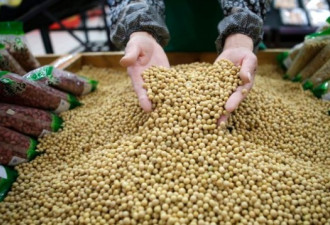 中国今年1-2月美国大豆进口量猛增六倍