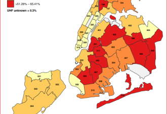 确诊2.5万 纽约市首次公布疫情地图