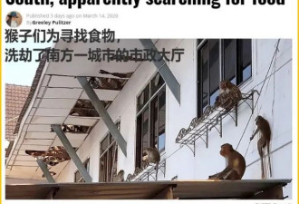 因为少了中国游客，全球整个生态圈都乱了