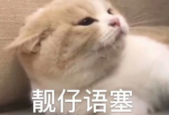 她是第一个被男友和原配联手锤的小三吧