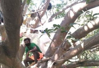 印度草率封锁 移工住“树屋”隔离保护家人