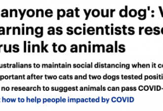 新冠病毒在澳肆虐，专家向宠物主发出警告