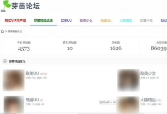中国类似韩国“N号房间”的网站被曝光