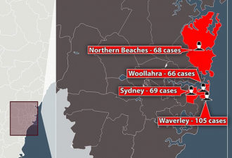 悉尼确诊病例数据汇总,这5个地区成疫情重灾区